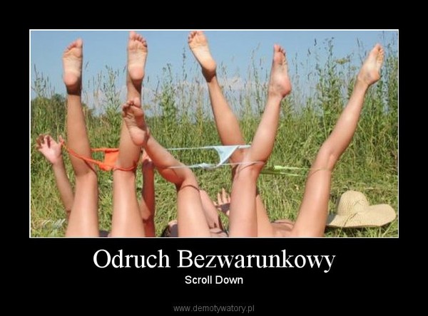 Odruch Bezwarunkowy – Scroll Down 