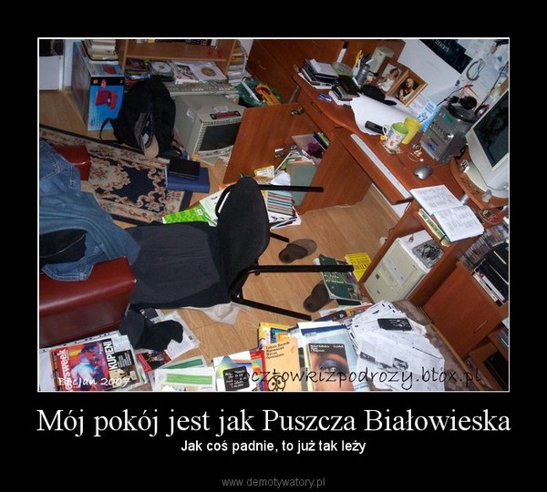 Mój pokój jest jak Puszcza Białowieska
