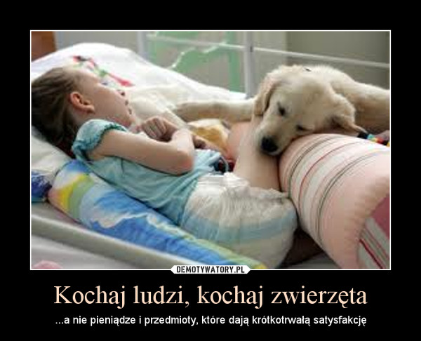 Kochaj ludzi, kochaj zwierzęta – ...a nie pieniądze i przedmioty, które dają krótkotrwałą satysfakcję 