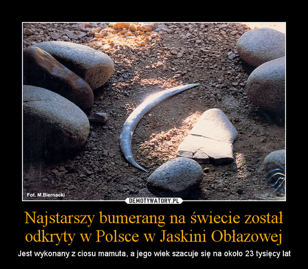 Najstarszy bumerang na świecie został odkryty w Polsce w Jaskini Obłazowej