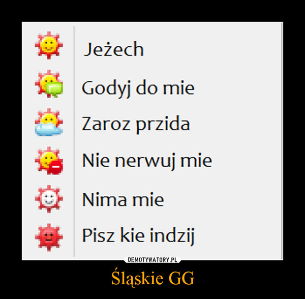 Śląskie GG –  