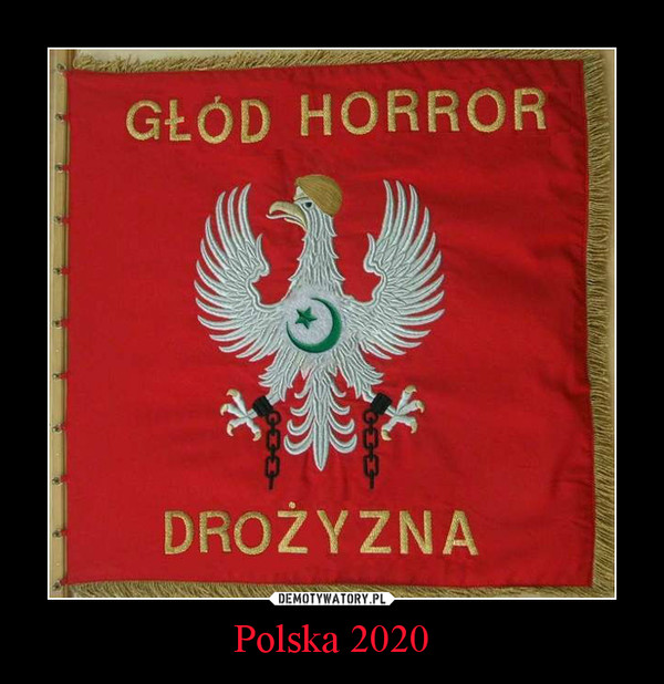 Polska 2020 –  