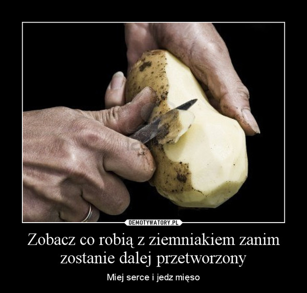 Zobacz co robią z ziemniakiem zanim zostanie dalej przetworzony – Miej serce i jedz mięso 