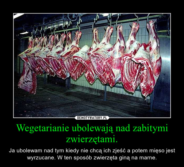 Wegetarianie ubolewają nad zabitymi zwierzętami. – Ja ubolewam nad tym kiedy nie chcą ich zjeść a potem mięso jest wyrzucane. W ten sposób zwierzęta giną na marne. 
