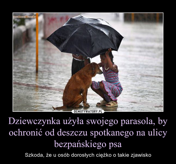 Dziewczynka użyła swojego parasola, by ochronić od deszczu spotkanego na ulicy bezpańskiego psa – Szkoda, że u osób dorosłych ciężko o takie zjawisko 