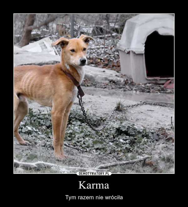 Karma – Tym razem nie wróciła 
