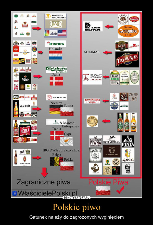Polskie piwo – Gatunek należy do zagrożonych wyginięciem 