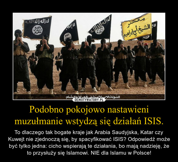 Podobno pokojowo nastawieni muzułmanie wstydzą się działań ISIS. – To dlaczego tak bogate kraje jak Arabia Saudyjska, Katar czy Kuwejt nie zjednoczą się, by spacyfikować ISIS? Odpowiedź może być tylko jedna: cicho wspierają te działania, bo mają nadzieję, że to przysłuży się Islamowi. NIE dla Islamu w Polsce! 