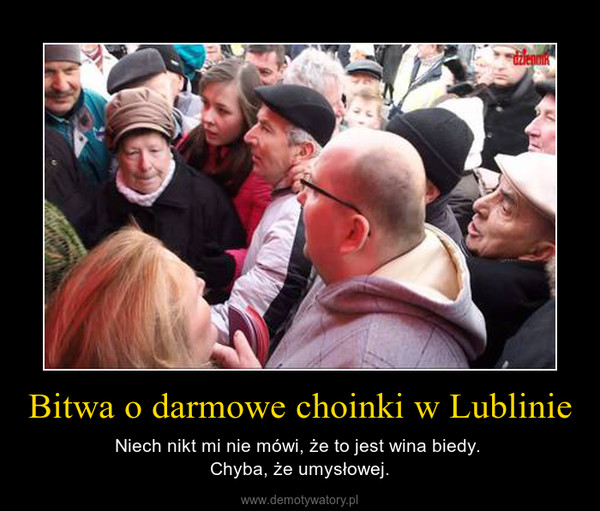 Bitwa o darmowe choinki w Lublinie – Niech nikt mi nie mówi, że to jest wina biedy. Chyba, że umysłowej. 