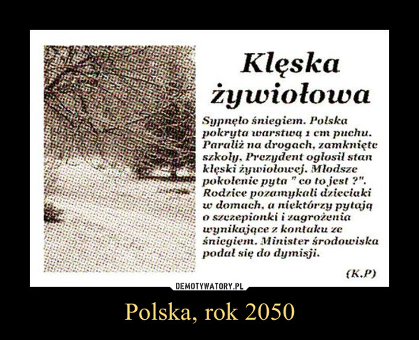 Polska, rok 2050