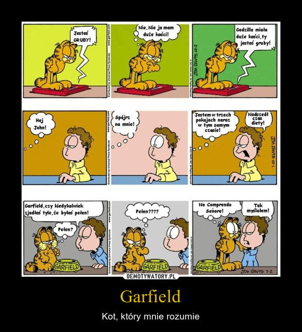 Garfield – Kot, który mnie rozumie 