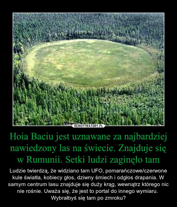 Hoia Baciu jest uznawane za najbardziej nawiedzony las na świecie. Znajduje się w Rumunii. Setki ludzi zaginęło tam