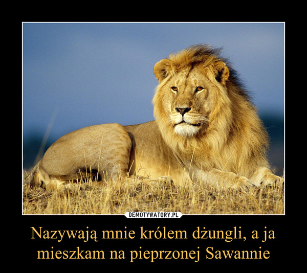Nazywają mnie królem dżungli, a jamieszkam na pieprzonej Sawannie –  