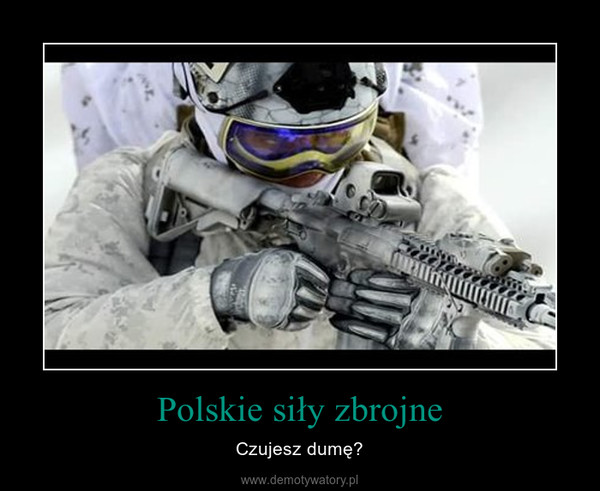 Polskie siły zbrojne – Czujesz dumę? 