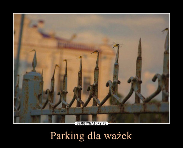 Parking dla ważek –  