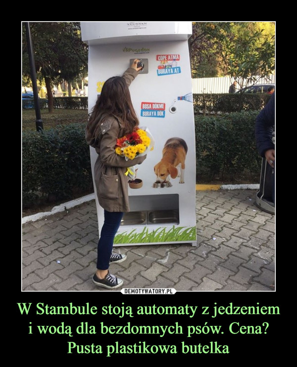 W Stambule stoją automaty z jedzeniem i wodą dla bezdomnych psów. Cena? Pusta plastikowa butelka –  