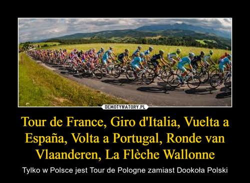 Tour de France, Giro d'Italia, Vuelta a España, Volta a Portugal, Ronde van Vlaanderen, La Flèche Wallonne