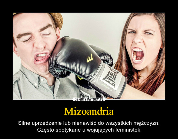 Mizoandria – Silne uprzedzenie lub nienawiść do wszystkich mężczyzn.Często spotykane u wojujących feministek 