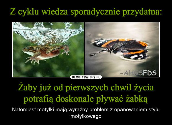 Żaby już od pierwszych chwil życia potrafią doskonale pływać żabką – Natomiast motylki mają wyraźny problem z opanowaniem stylu motylkowego 