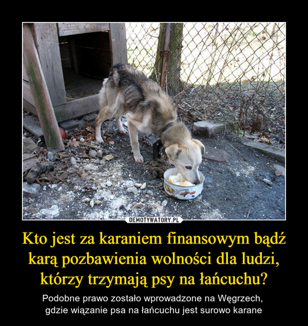 Kto jest za karaniem finansowym bądź karą pozbawienia wolności dla ludzi, którzy trzymają psy na łańcuchu? – Podobne prawo zostało wprowadzone na Węgrzech, gdzie wiązanie psa na łańcuchu jest surowo karane 