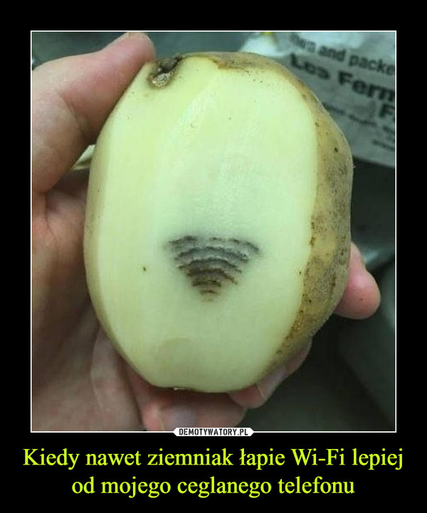 Kiedy nawet ziemniak łapie Wi-Fi lepiej od mojego ceglanego telefonu –  
