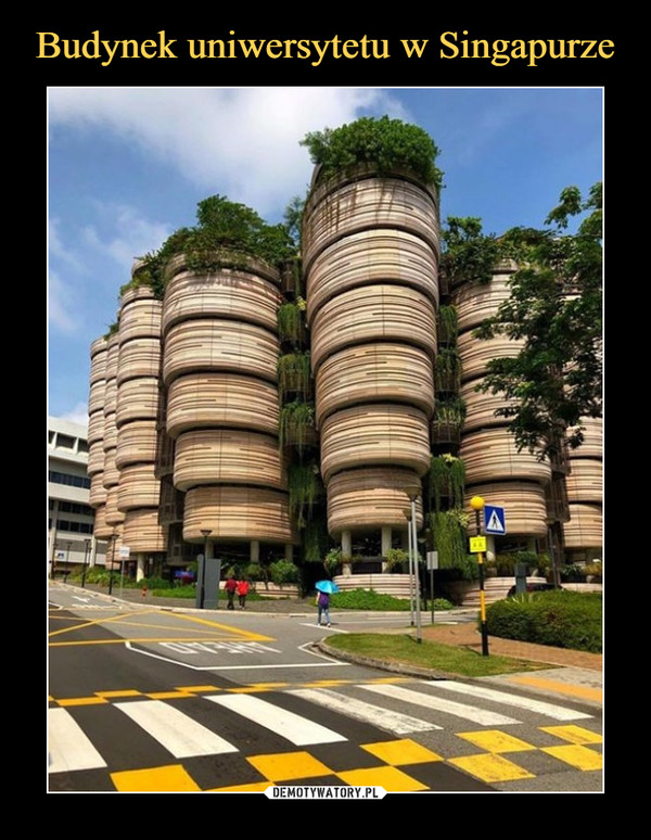 Budynek uniwersytetu w Singapurze