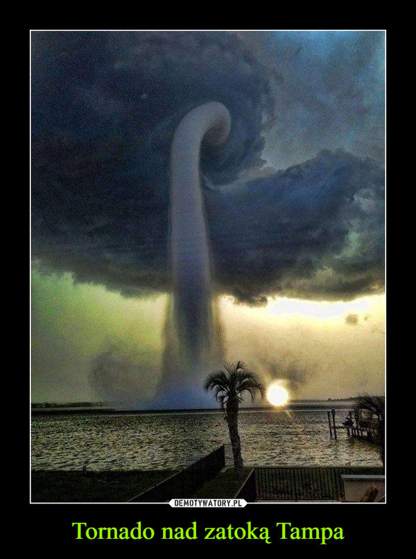 Tornado nad zatoką Tampa –  