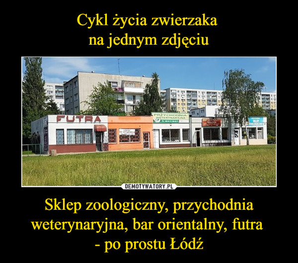 Sklep zoologiczny, przychodnia weterynaryjna, bar orientalny, futra - po prostu Łódź –  