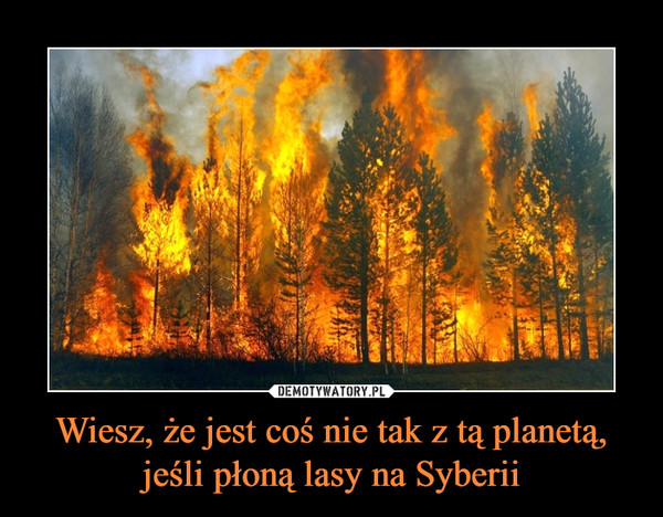 Wiesz, że jest coś nie tak z tą planetą, jeśli płoną lasy na Syberii –  