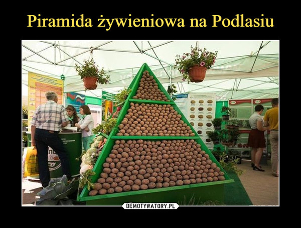 Piramida żywieniowa na Podlasiu