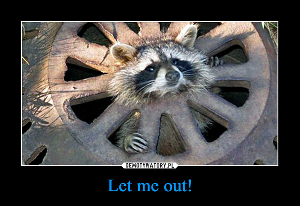 Let me out! –  