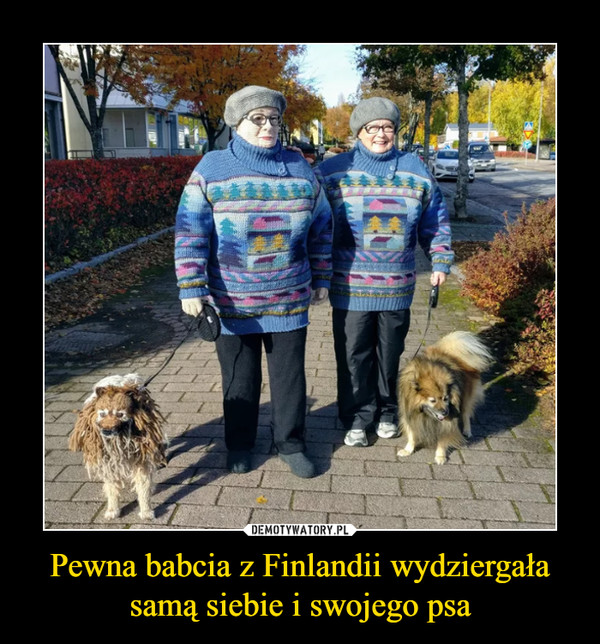 Pewna babcia z Finlandii wydziergała samą siebie i swojego psa –  