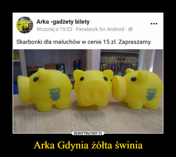 Arka Gdynia żółta świnia