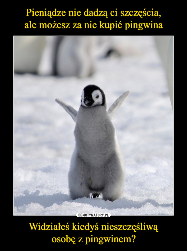 Pieniądze nie dadzą ci szczęścia,
ale możesz za nie kupić pingwina Widziałeś kiedyś nieszczęśliwą
osobę z pingwinem?