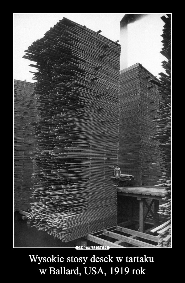 Wysokie stosy desek w tartaku w Ballard, USA, 1919 rok –  