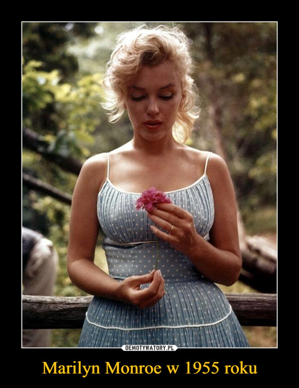 Marilyn Monroe w 1955 roku –  