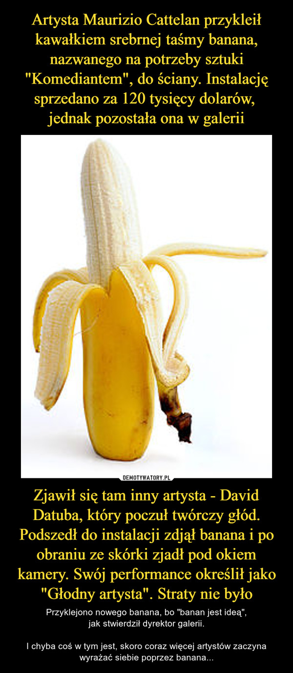 Zjawił się tam inny artysta - David Datuba, który poczuł twórczy głód. Podszedł do instalacji zdjął banana i po obraniu ze skórki zjadł pod okiem kamery. Swój performance określił jako "Głodny artysta". Straty nie było – Przyklejono nowego banana, bo "banan jest ideą",jak stwierdził dyrektor galerii.I chyba coś w tym jest, skoro coraz więcej artystów zaczyna wyrażać siebie poprzez banana... 