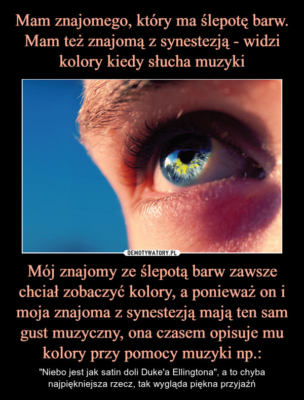 Mój znajomy ze ślepotą barw zawsze chciał zobaczyć kolory, a ponieważ on i moja znajoma z synestezją mają ten sam gust muzyczny, ona czasem opisuje mu kolory przy pomocy muzyki np.: – "Niebo jest jak satin doli Duke'a Ellingtona", a to chyba najpiękniejsza rzecz, tak wygląda piękna przyjaźń 