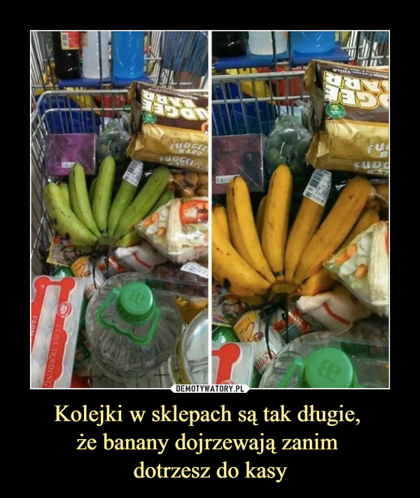 Kolejki w sklepach są tak długie, że banany dojrzewają zanim dotrzesz do kasy –  