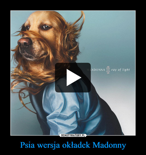 Psia wersja okładek Madonny –  