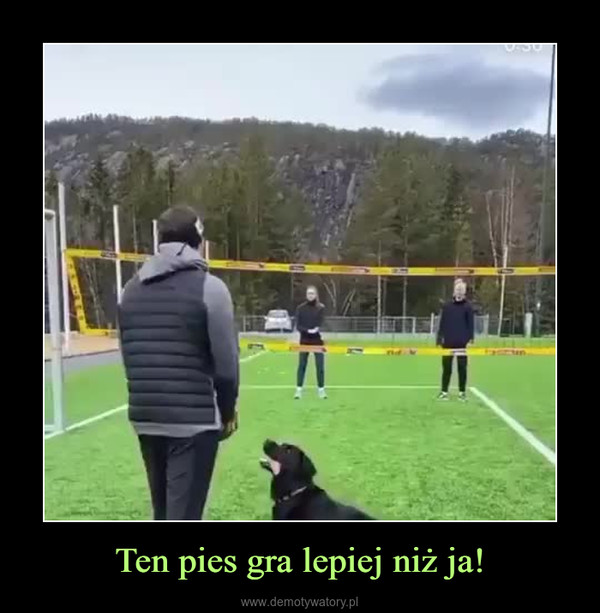 Ten pies gra lepiej niż ja! –  