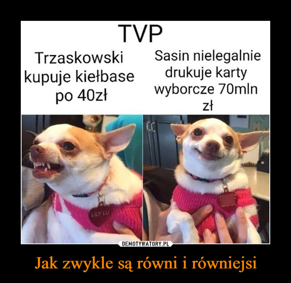 Jak zwykle są równi i równiejsi –  TVPTrzaskowskikupuje kiełbasepo 40złSasin nielegalniedrukuje kartywyborcze 70mlnzłLILY LU