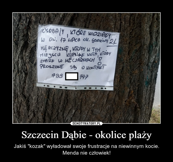 Szczecin Dąbie - okolice plaży – Jakiś "kozak" wyładował swoje frustracje na niewinnym kocie. Menda nie człowiek! 