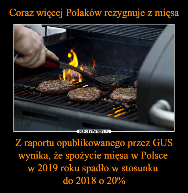 Coraz więcej Polaków rezygnuje z mięsa Z raportu opublikowanego przez GUS wynika, że spożycie mięsa w Polsce 
w 2019 roku spadło w stosunku 
do 2018 o 20%