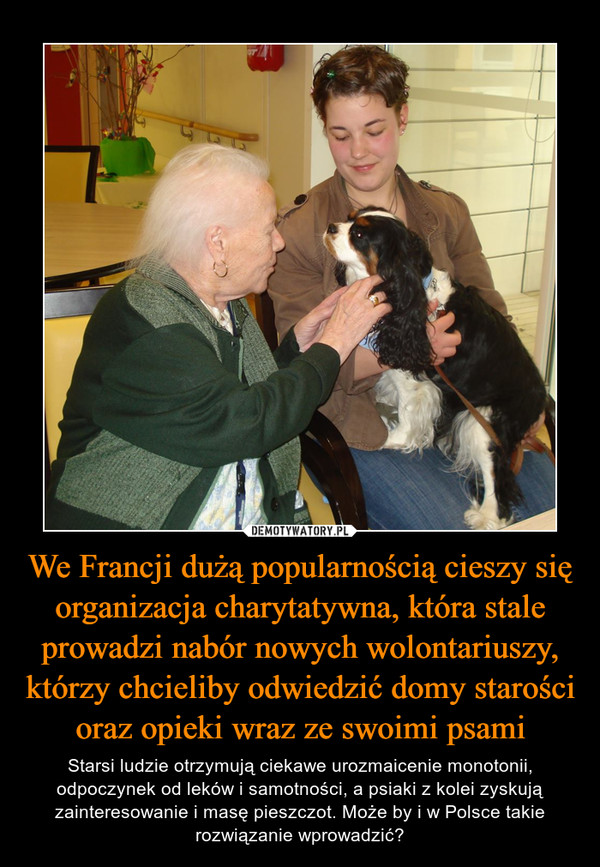 We Francji dużą popularnością cieszy się organizacja charytatywna, która stale prowadzi nabór nowych wolontariuszy, którzy chcieliby odwiedzić domy starości oraz opieki wraz ze swoimi psami – Starsi ludzie otrzymują ciekawe urozmaicenie monotonii, odpoczynek od leków i samotności, a psiaki z kolei zyskują zainteresowanie i masę pieszczot. Może by i w Polsce takie rozwiązanie wprowadzić? 