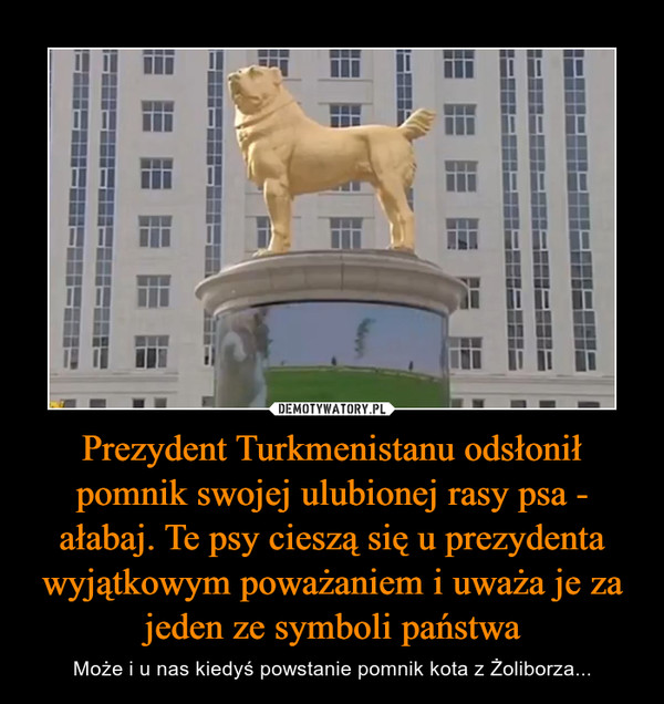 Prezydent Turkmenistanu odsłonił pomnik swojej ulubionej rasy psa - ałabaj. Te psy cieszą się u prezydenta wyjątkowym poważaniem i uważa je za jeden ze symboli państwa