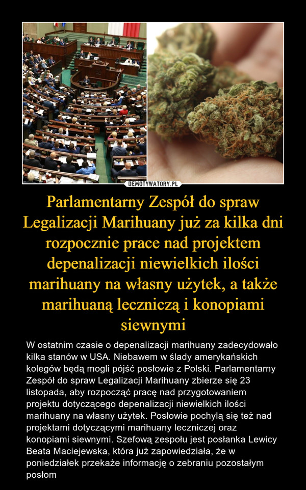 Parlamentarny Zespół do spraw Legalizacji Marihuany już za kilka dni rozpocznie prace nad projektem depenalizacji niewielkich ilości marihuany na własny użytek, a także marihuaną leczniczą i konopiami siewnymi