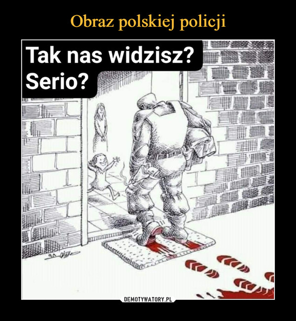 Obraz polskiej policji