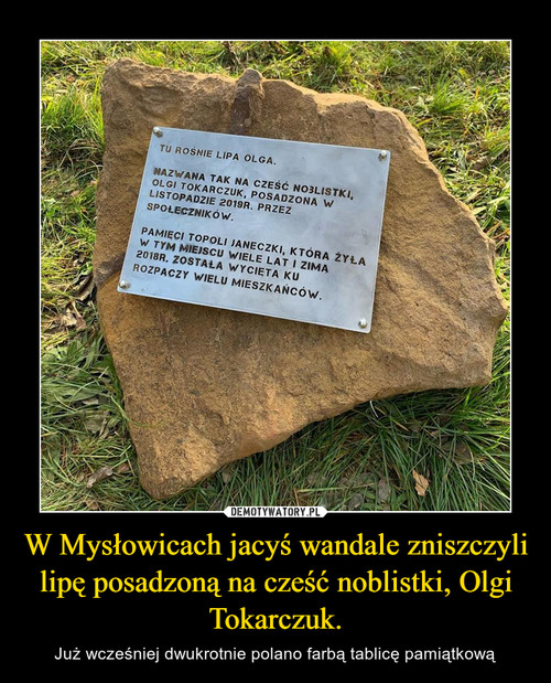 W Mysłowicach jacyś wandale zniszczyli lipę posadzoną na cześć noblistki, Olgi Tokarczuk.