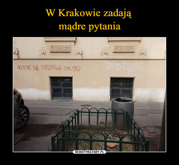 W Krakowie zadają 
mądre pytania